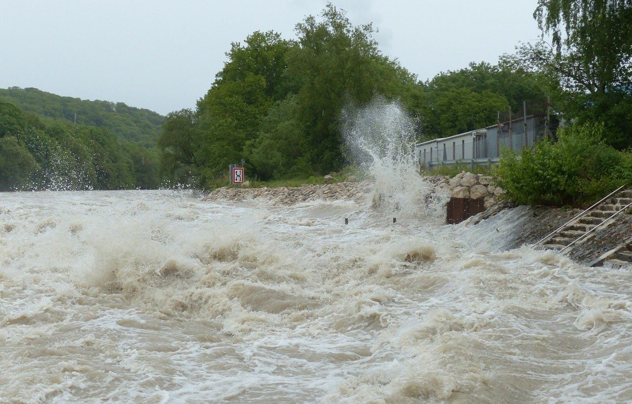 Banjir Kalimantan, Salah Satu Buah Deforestasi