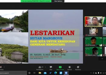 Langkah Jitu Lestarikan Hutan Mangrove