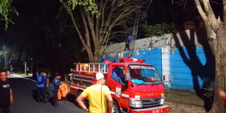 Evakuasi sarang tawon