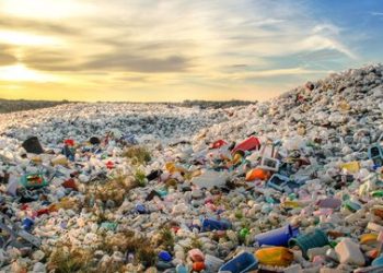Intip Problematika Sampah Plastik Melalui Webinar SDGs Center Unhas