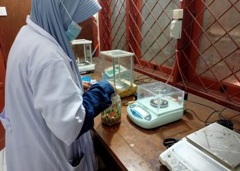 Mahasiswa Unhas Buat Kemasan Daging dengan Plastik Ramah Lingkungan