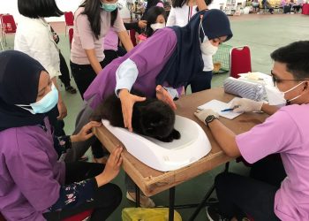 Kedokteran Hewan Unhas Cegah Penularan Rabies Melalui Vaksinasi Kucing