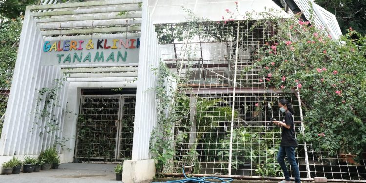 Potret Peremajaan Kembali Galeri Tanaman Unhas