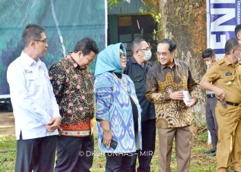 Unhas Tanam Bibit Pohon, Bagian dari Rancangan Taman Keanekaragaman Hayati