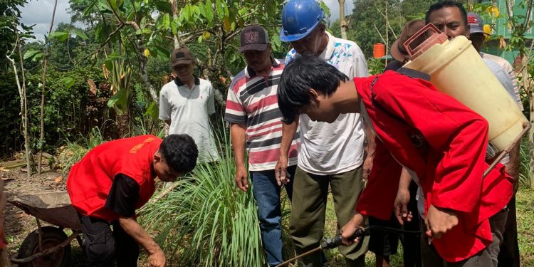Olah Limbah Kulit Kakao, Posko 4 Bulukumba Adakan Sosialisasi