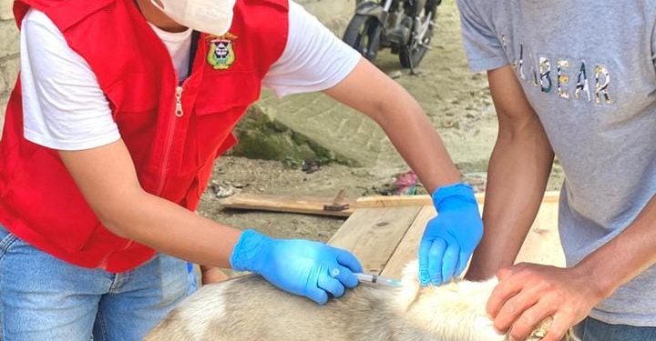 Posko Lembang Paku Tana Toraja Adakan Vaksinasi Anti Rabies