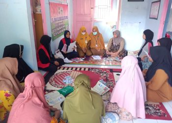 KKN Stunting Gowa Posko 2 Edukasi Ibu Hamil Pencegahan Anemia