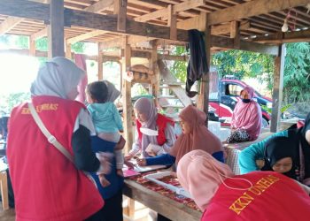 Mahasiswa KKN Tematik Lokus Stunting Gowa Dampingi Pemberian Vitamin A