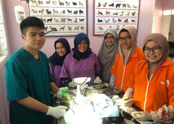 Civet Coffee Innovation Without Civet