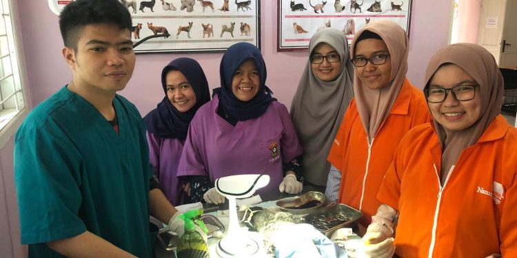 Civet Coffee Innovation Without Civet