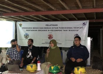 Produksi Beras Hitam, Strategi Tim Pengabdian Faperta Unhas Tingkatkan Kesejahteraan Petani Wanuae