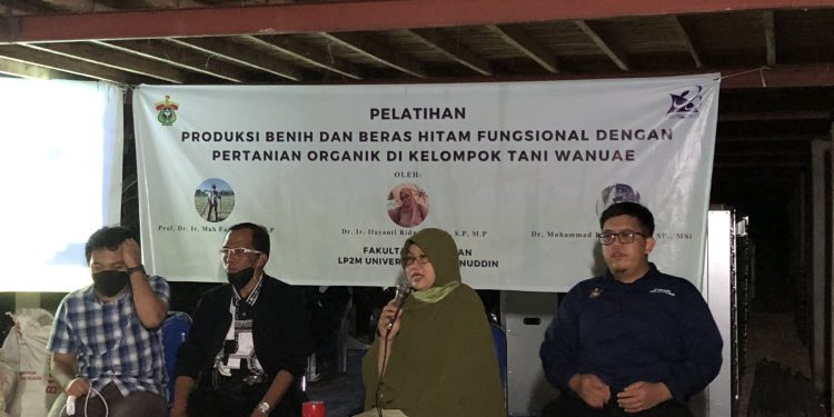 Produksi Beras Hitam, Strategi Tim Pengabdian Faperta Unhas Tingkatkan Kesejahteraan Petani Wanuae