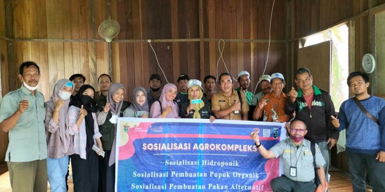 Baksosnas BEM Unhas Adakan Sosialisasi Pembuatan Pupuk Organik