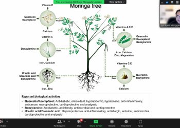 Pemaparan materi Tanaman Kelor oleh Ketua ABMI melalui Zoom Meeting, Sabtu (11/2). Tangkapan layar.