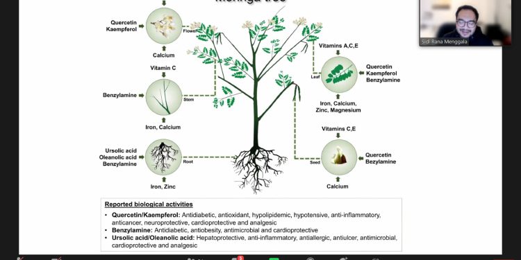 Pemaparan materi Tanaman Kelor oleh Ketua ABMI melalui Zoom Meeting, Sabtu (11/2). Tangkapan layar.