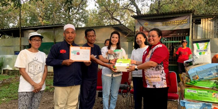 Peserta International Shelter Medicine and Animal Welfare Course 2023 mengunjungi salah satu tempat perlindungan hewan di Kota Makassar, Sabtu (18/3). Dokumentasi pribadi