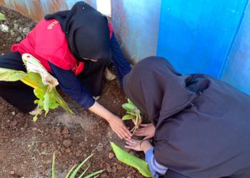 Kembangkan Desa Wisata Maros, KKNT Bonto Mate’ne Lakukan Penanaman Toga