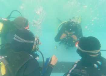 Sambut Dies Natalis, Unhas Hadirkan Eksibisi Renang dan Try Scuba