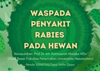 Infografis: Waspada Penyakit Rabies pada Hewan