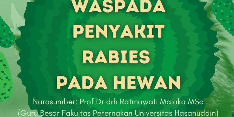 Infografis: Waspada Penyakit Rabies pada Hewan
