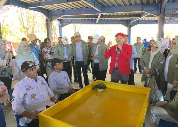 Tingkatkan Kesehatan Petani Rumput Laut Melalui Alat Bantu Ergonomis