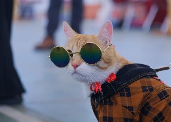 Semarak Pencinta Hewan di Vet Expo 2023