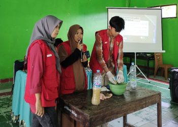 Mahasiswa KKNT Pertanian Sinjai Sosialisasikan Budidaya Pisang Hingga Pestisida Nabati