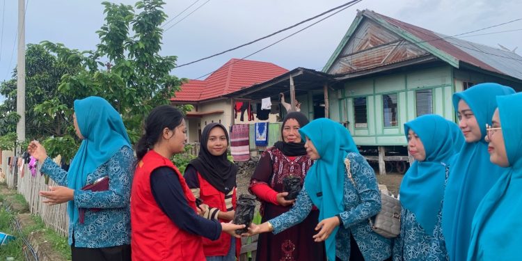Cegah Stunting, Mahasiswa KKN-T Sinjai Bagikan Bibit Tanaman Sayuran