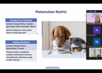 Webinar Talk With Vet Uraikan Kebutuhan Nutrisi pada Hewan Peliharaan