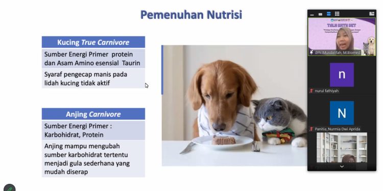 Webinar Talk With Vet Uraikan Kebutuhan Nutrisi pada Hewan Peliharaan