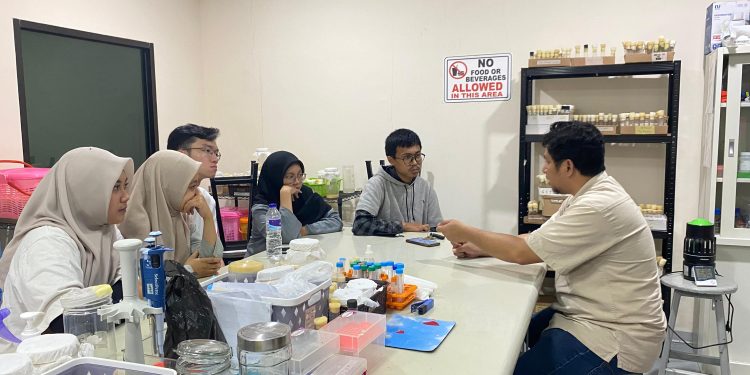 Tim PKM-RE Gunakan Lalat Buah sebagai Hewan Coba untuk Uji Obat Antibakteri