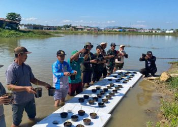 Proses penanaman benih padi oleh Tim PPK Ormawa KPI Unhas pada media stirofoam. Foto: Dokumentasi Pribadi