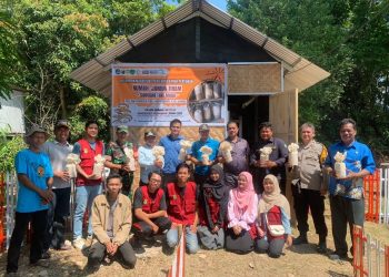 Kepala Dinas Pertanian Maros Kunjungi Rumah Jamur Tiram PPK Ormawa KM Pilar Unhas