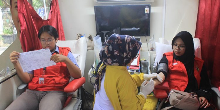 KKN Unhas dan PMI Maros Galang Donor Darah di Kawasan CFD Kantor Bupati