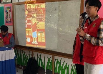 Mahasiswa KKN Unhas Desa Timusu Adakan Sosialisasi Infografis Mengenai Stunting