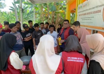 Pelatihan Pertanian berkelanjutan kepada pemuda Kelurahan Bajo Bodoa, Maros baru. Foto: Dokumentasi Pribadi.