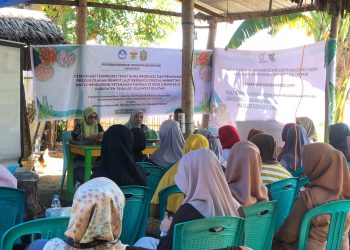 Tim LPPM Unhas Sosialisasi Pemasaran Produk Rumput Laut Berbasis Digital di Takalar