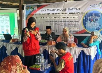 Dukung Ketahanan Pangan, KKN Unhas Sosialisasikan Hidroponik di Desa Lawallu