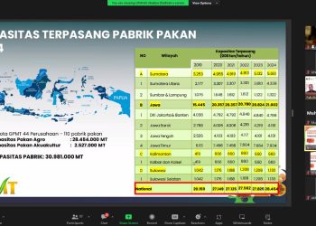 Fluktuasi Harga Jagung jadi Tantangan Industri Pakan Ternak Indonesia