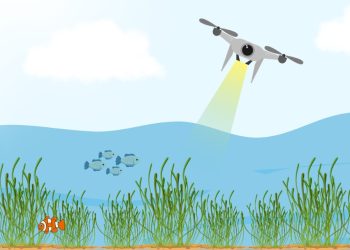 Desain: IDENTITAS/Adrian