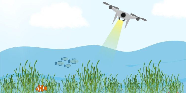 Desain: IDENTITAS/Adrian