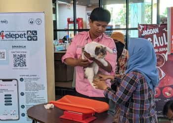 Prodi Kedokteran Hewan Unhas Lakukan Pemeriksaan dan Vaksinasi Rabies Gratis