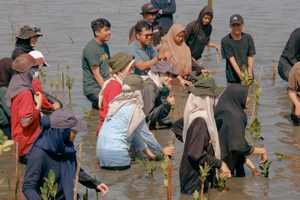 Para mahasiswa KSE sedang menanam mangrove