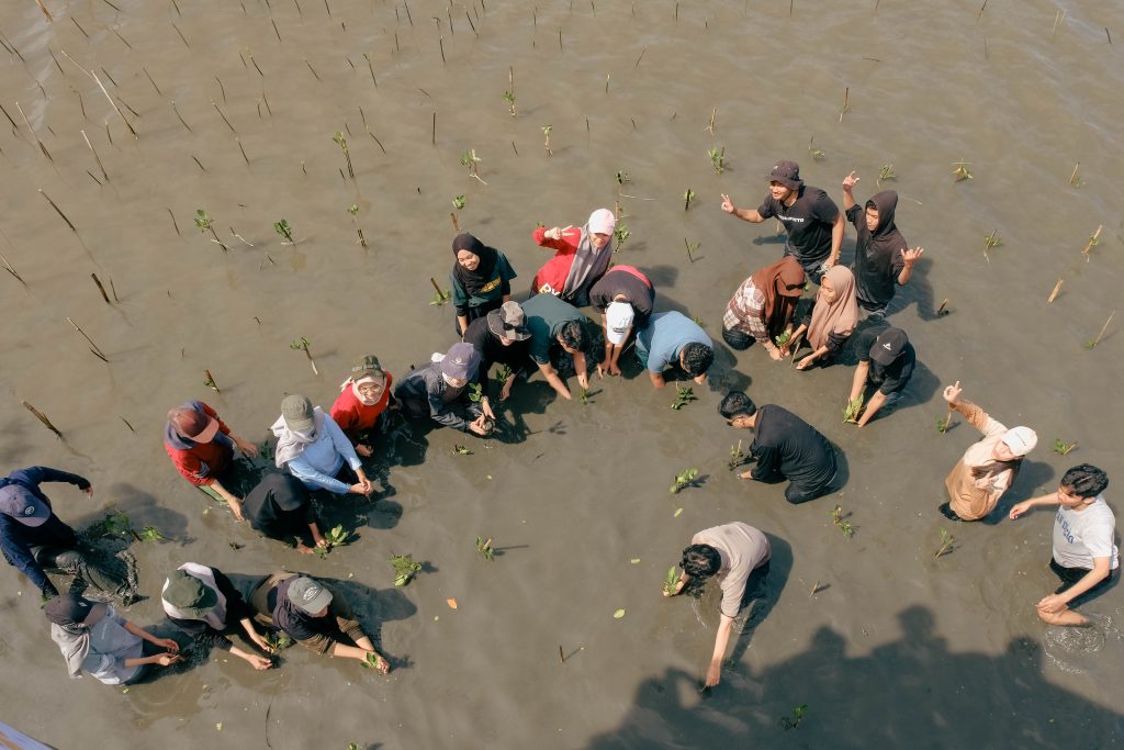 Nampak para mahasiswa dari Karya Salemba Empat sedang menanam mangrove 