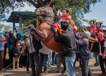 Kuda Penari melakukan atraksi ditengah masyarakat.