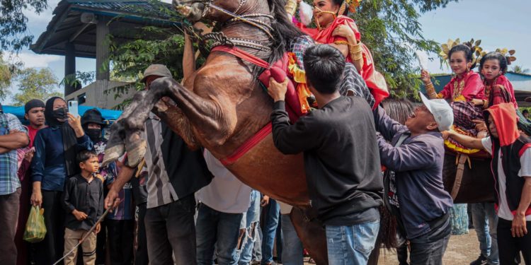 Kuda Penari melakukan atraksi ditengah masyarakat.