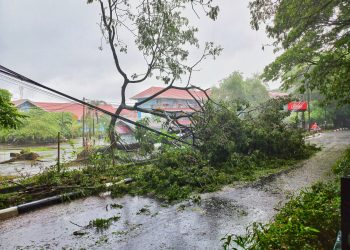 Tampak pohon tunbang hantam sejumlah kabel dan pagar Gedung Asrama Mahasiswa (Ramsis) Universitas Hasanuddin (Unhas), Minggu (15/12). Foto: IDENTITAS/Isba.