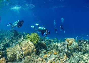 Rehabilitasi Terumbu Karang Pulihkan Pariwisata Pulau Badi