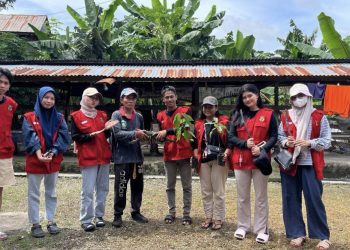 Mahasiswa KKN-T Watang Bagikan Stek Rumput Gajah dan Bibit Tanaman kepada Kelompok Tani Ternak, Selasa (14/01). Foto: Dokumentasi pribadi