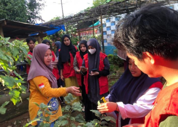 Mahasiswa KKN bersama warga mengaplikasikan pestisida pada tanaman di Kebun PKK Desa Bonto Marannu, Maros, Minggu (12/01). Foto Dokumentasi Pribadi